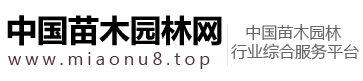 品牌健身器材網